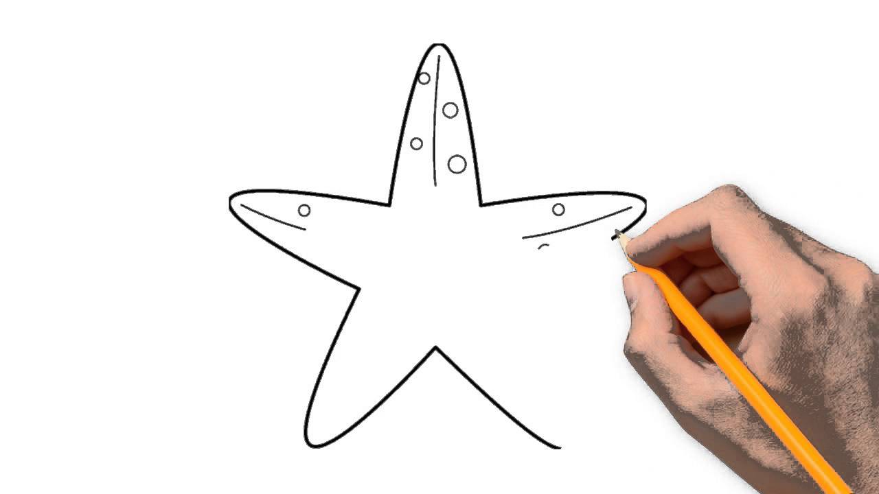 1280x720 Starfish Animals Pencil To Draw Step By Step