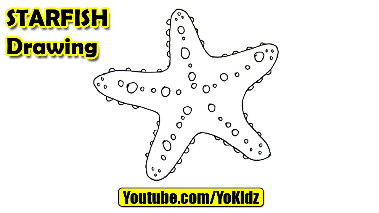 1280x720 Drawing Of A Starfish How To Draw A Starfish For Kids
