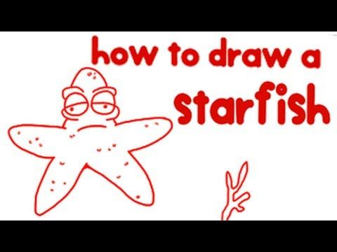 480x360 How To Draw Starfish