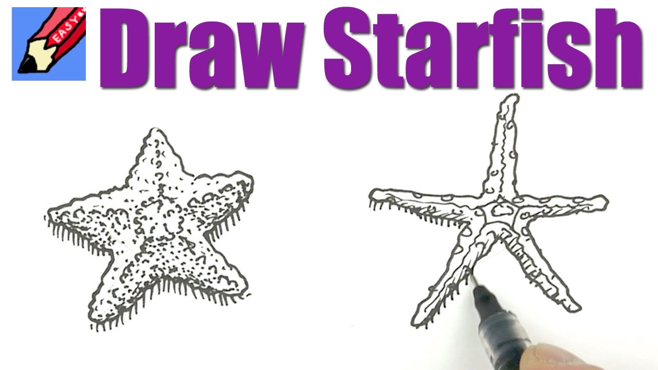 1280x720 How To Draw Starfish Real Easy