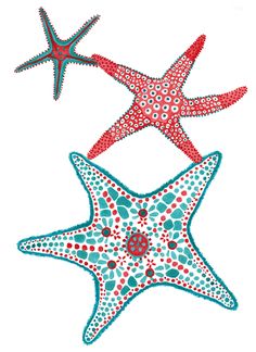 236x324 Beach Starfish Drawing