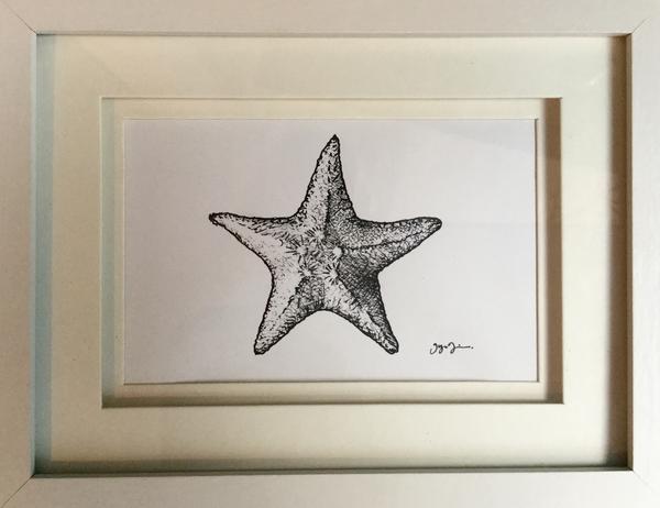 600x462 Starfish Ink Drawing North55