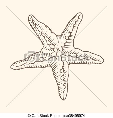 450x470 Zentangle Starfish. Vector Sketch. Ocean Abstract Vectors