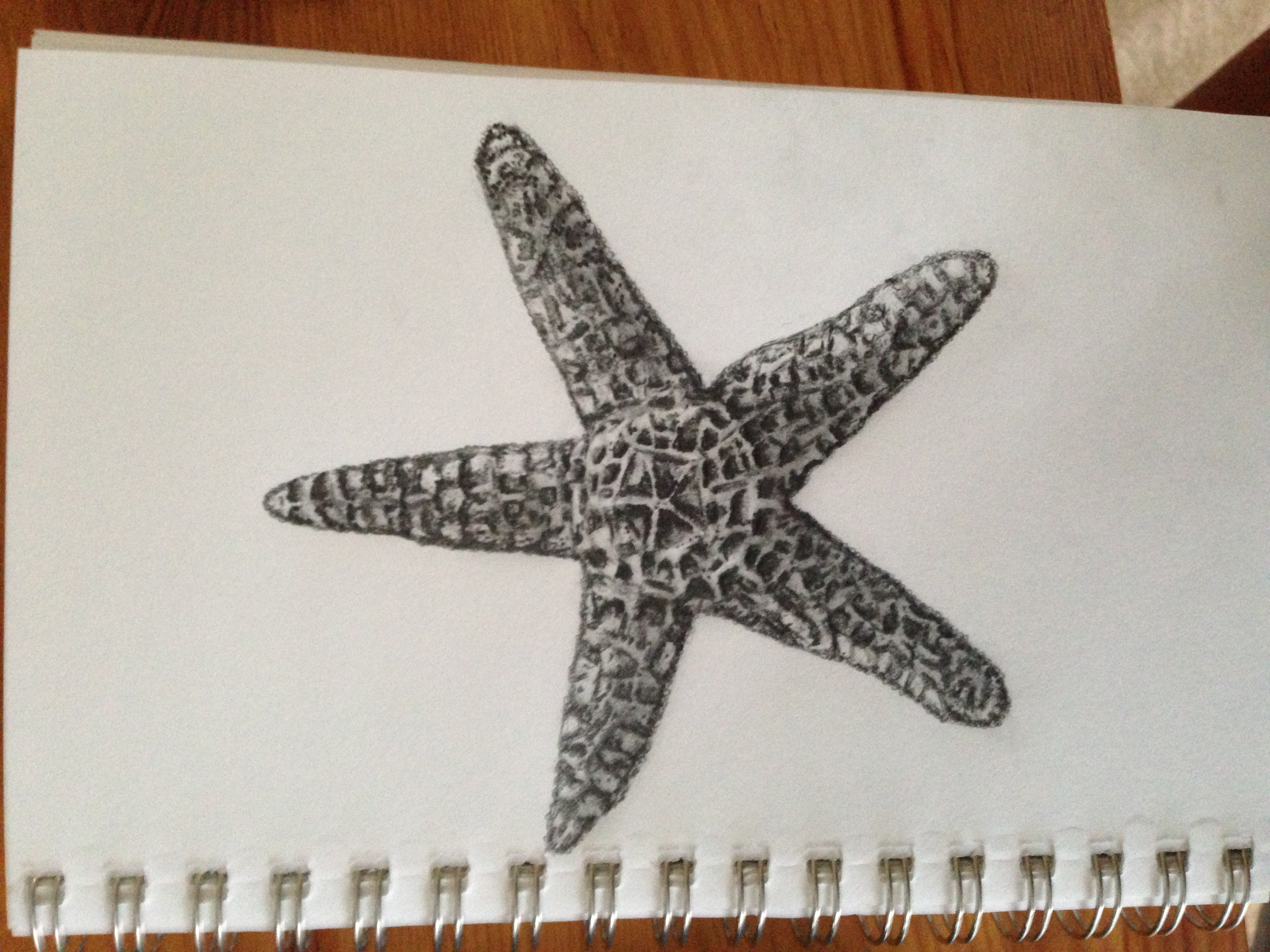 3264x2448 Starfish Pencil Drawing Artwork Pretty Drawings