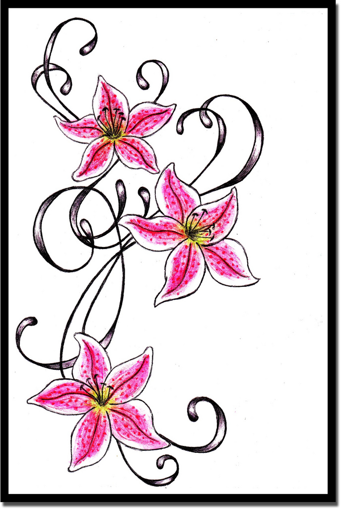Stargazer Lilly Drawing at GetDrawings.com | Free for personal use