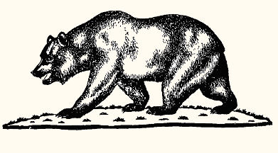 391x216 Pams50states