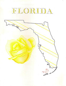 231x300 State Of Florida Drawing By Dusty Reed
