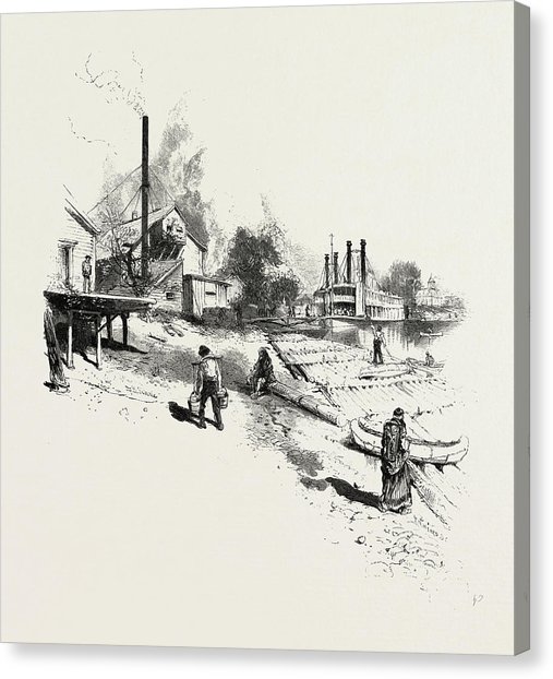 507x622 Manitoba, Steamboat Landing, Canada Drawing By Canadian School