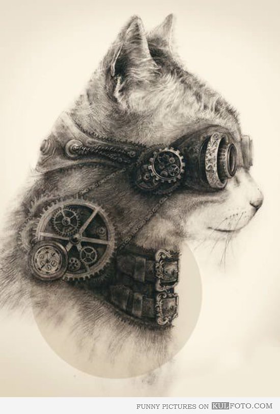 Steampunk Cat Drawing At Getdrawings Free Download