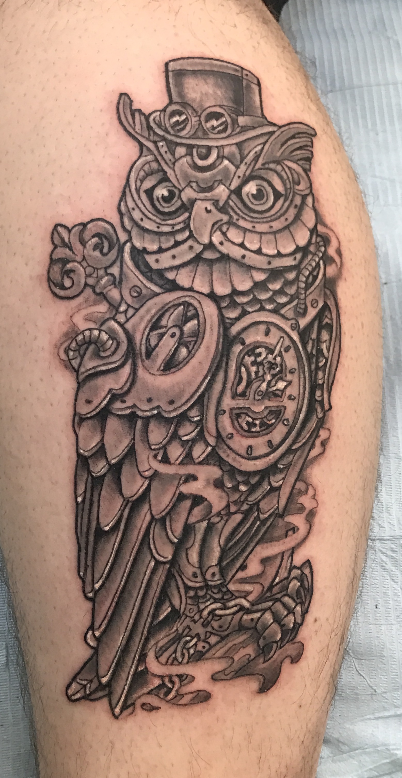 1558x3014 Steampunk Owl By Ruben Santander