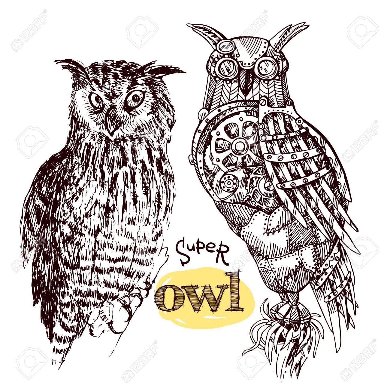 1299x1300 Vector Hand Drawn Mechanical Owls. Mechanical Sketch Animal
