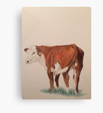 210x230 Steer Drawing Canvas Prints Redbubble