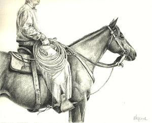 300x242 Steer Drawings