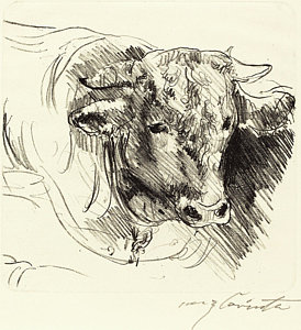 274x300 Steer Drawings Fine Art America