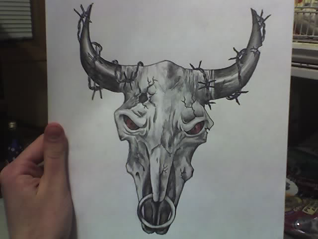 640x480 Cattle Skull