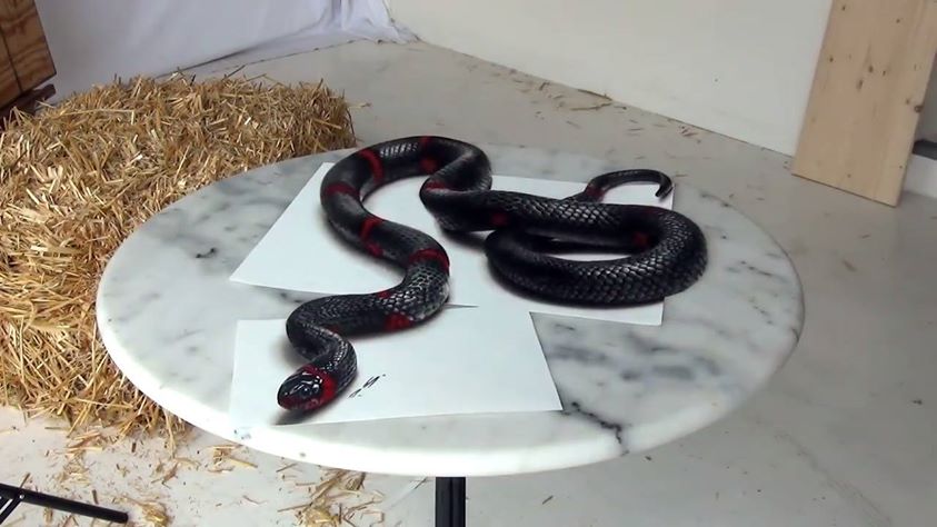 843x474 Out Of This World 3d Drawing Of A Snake! Credit Stefan Pabst