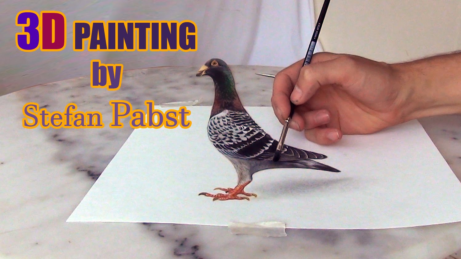 1499x843 Pigeon Drawing In 3d !! Optical Illusion By Stefan Pabst