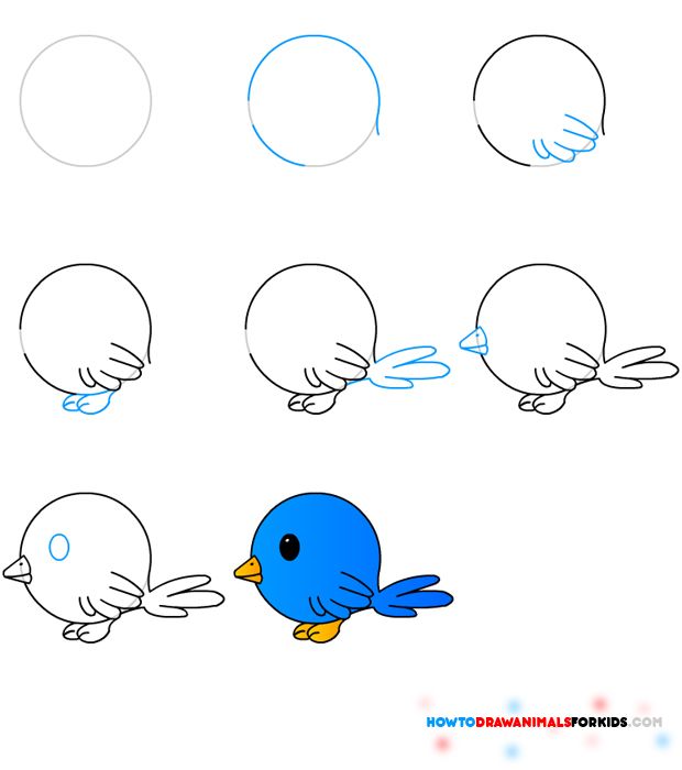 620x700 How To Draw A Bird Step By Step Easy With Pictures Bird, Draw