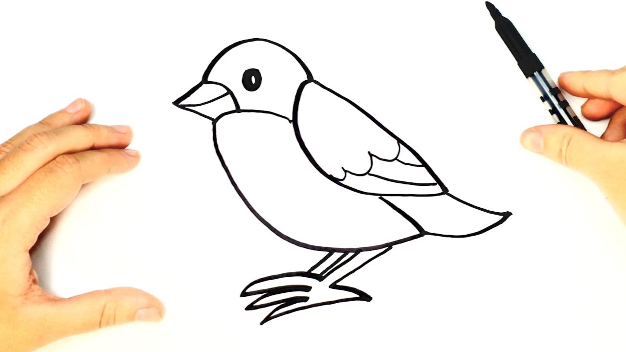 1280x720 How To Draw A Bird For Kids Bird Drawing Lesson Step By Step