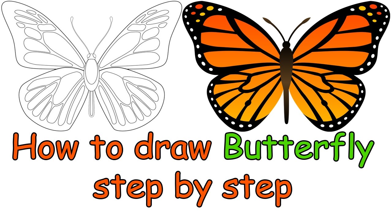 1280x720 How To Draw A Butterfly Step By Step For Beginners For Kids