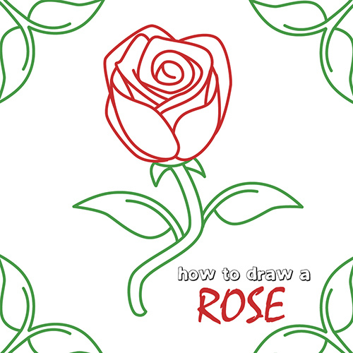 500x500 How To Draw How To Draw A Rose Step By Step