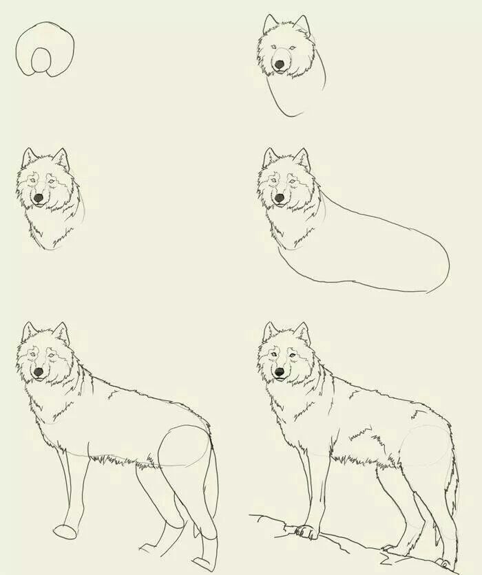 700x836 Pin By Aytug Ayliz On Anniversary Sketch Ideas