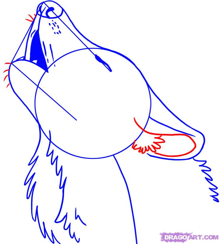 727x806 Wolf Drawings Step By Step Step 5 This Is Your Last Drawing Step