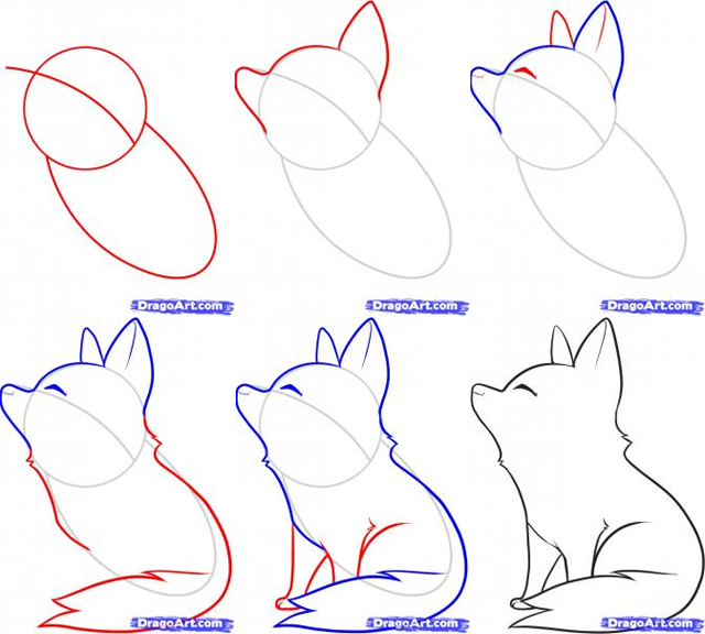 Step By Step Drawing A Wolf at GetDrawings | Free download
