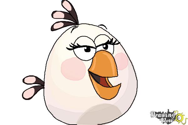 600x400 How To Draw Angry Bird Matilda, White Bird