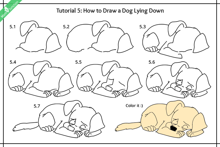 720x480 Step By Step Guide On How To Draw A Dog For Kids