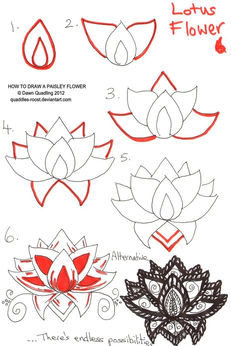 736x1104 99 Best How To Draw Tutorials Flowers Images
