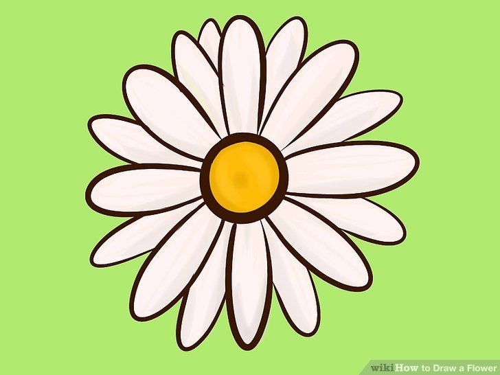 728x546 9 Easy Ways To Draw A Flower