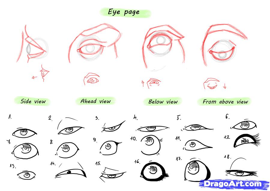 900x636 Draw A Female Face, Step By Step, Drawing Sheets, Added By