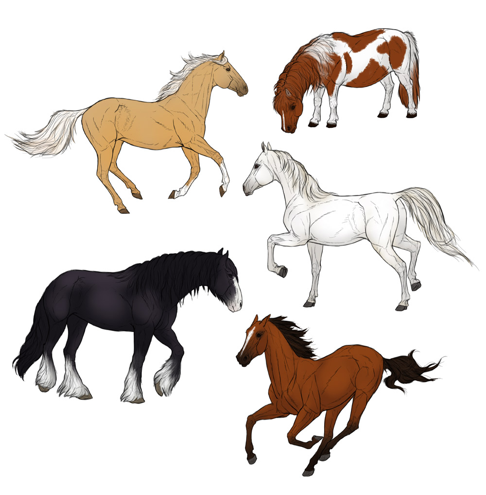 1000x1018 How To Draw Horses Step By Step Instructions