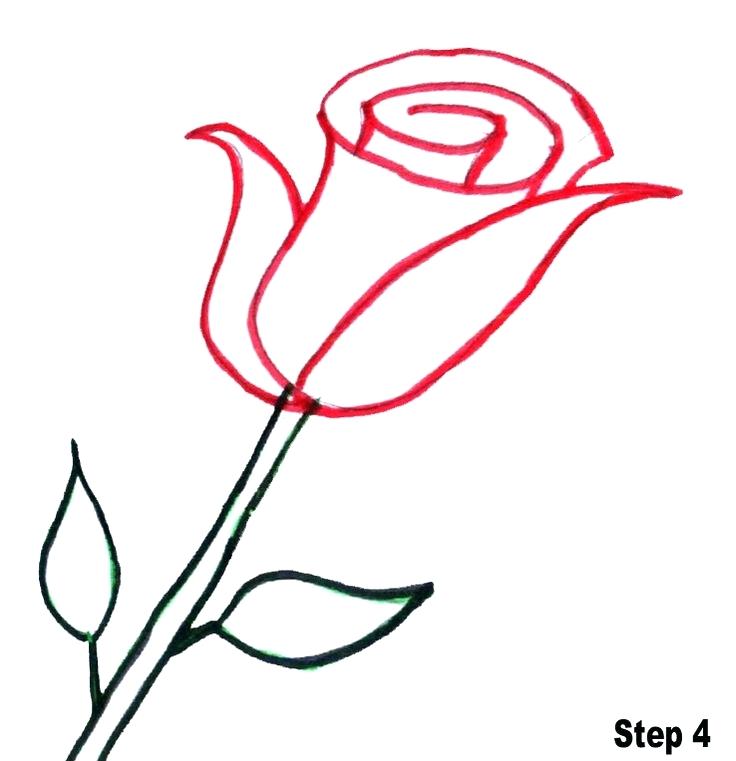 736x761 Drawn Rose Draw Rose Petals Step 8 Drawn Rose Petals Affan