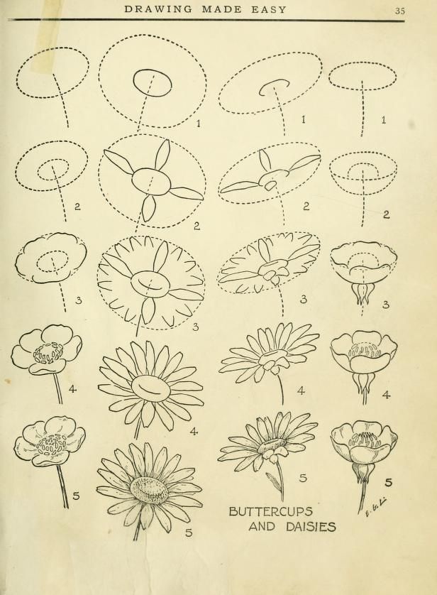 616x838 99 Best How To Draw Tutorials Flowers Images