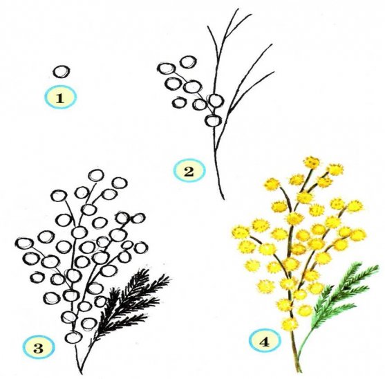 557x548 How To Draw A Flower Step By Step For Beginners Easy