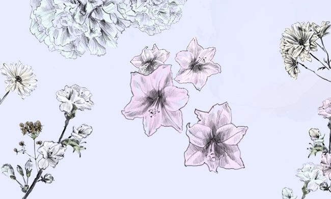 650x391 Blooming Garden Learn How To Draw Flowers In Just 4 Steps! Draw