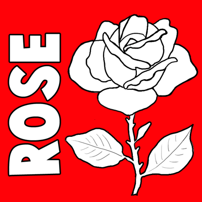 400x400 How To Draw Roses Step By Step Tutorial