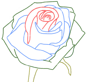 300x282 How To Draw A Rose Bud