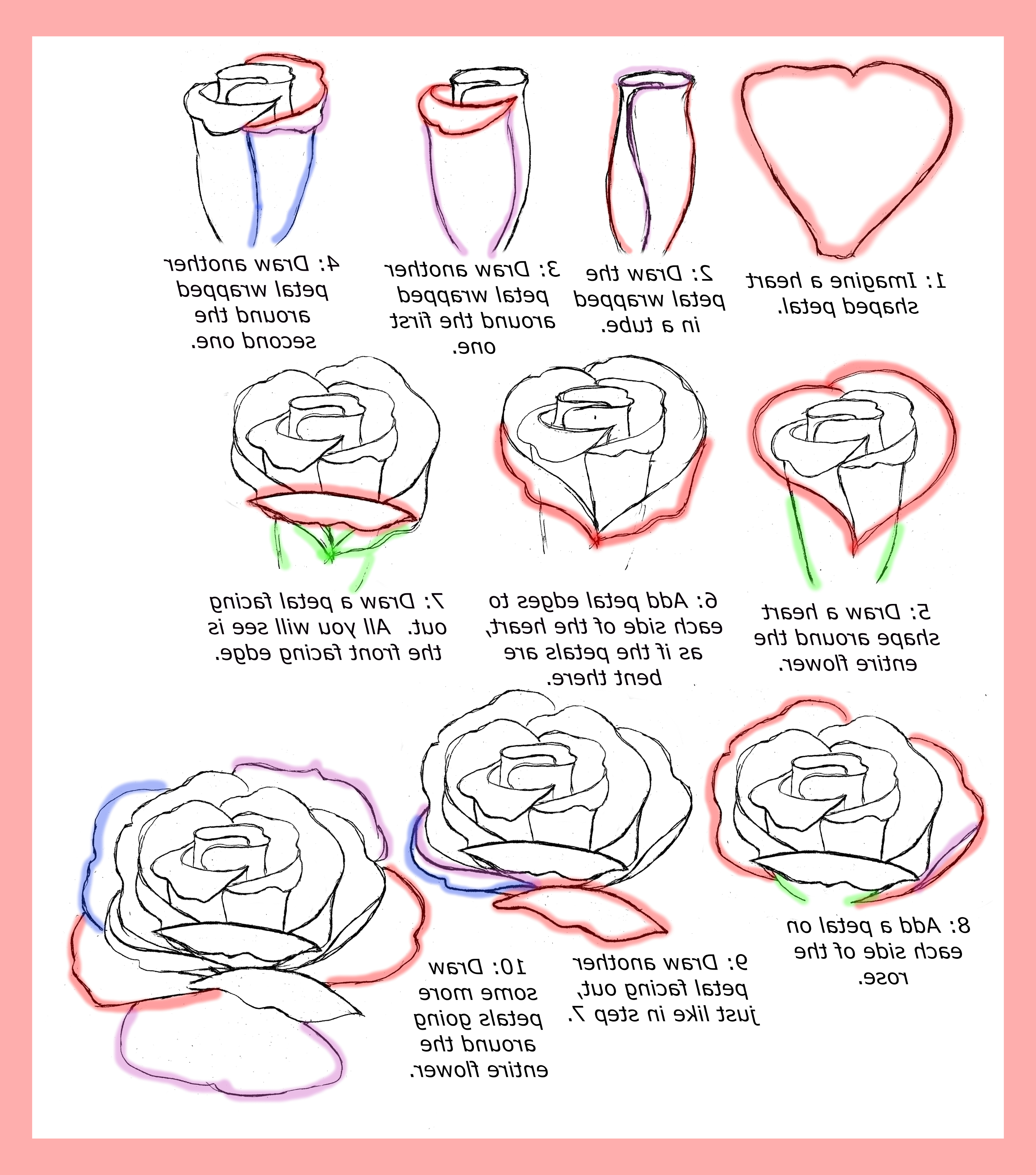 2800x3175 Rose Flowers Drawing Step By Step How To Draw Roses