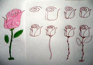 300x211 How To Draw A Simple Rose Drawing, Painting Amp Doodling