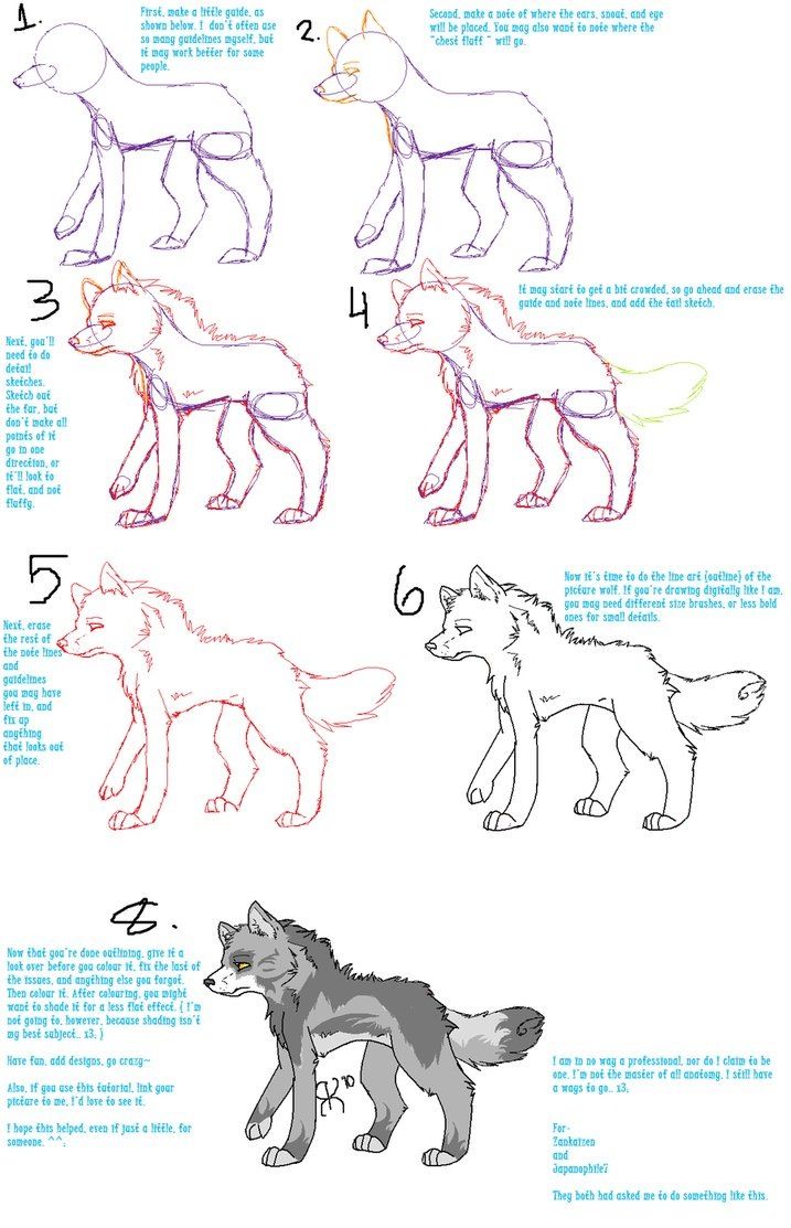 717x1113 Pictures Anime Wolf Drawing Tutorial,
