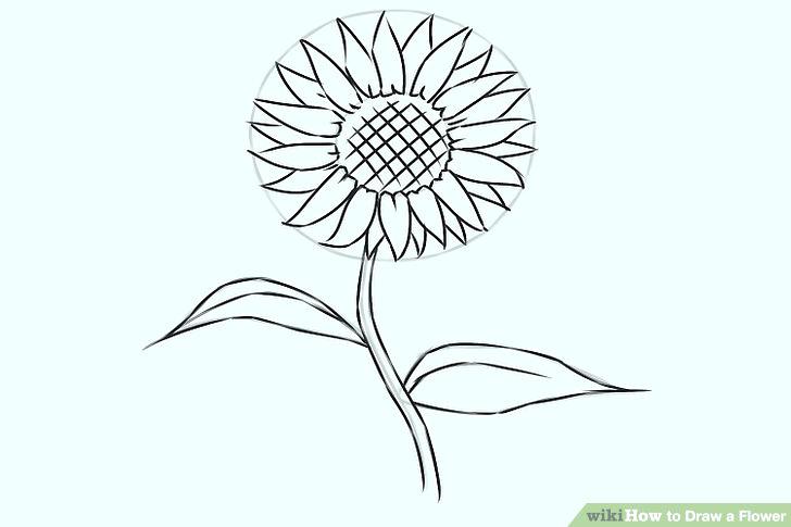 728x485 Flowers Drawing Cute Flowers Drawing Free Vector Flowers Drawings