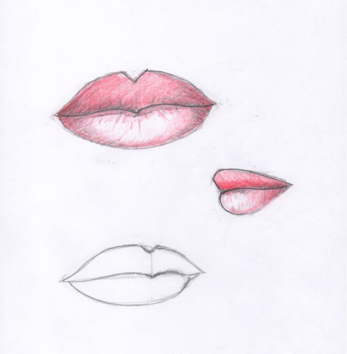 How to draw female lips up to my