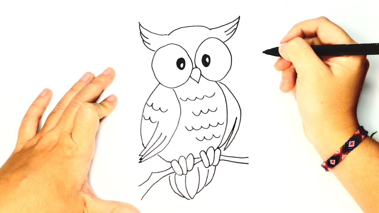 1280x720 How To Draw A Owl For Kids Cute Owl Drawing Lesson Step By Step