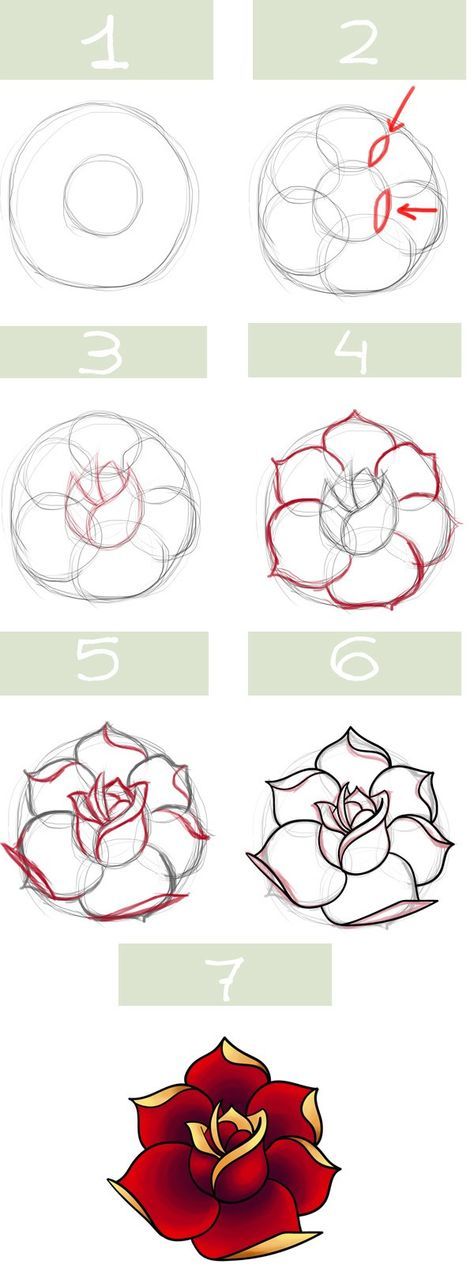 474x1279 Traditional Rose Drawing Step By Step Instruction Chart.