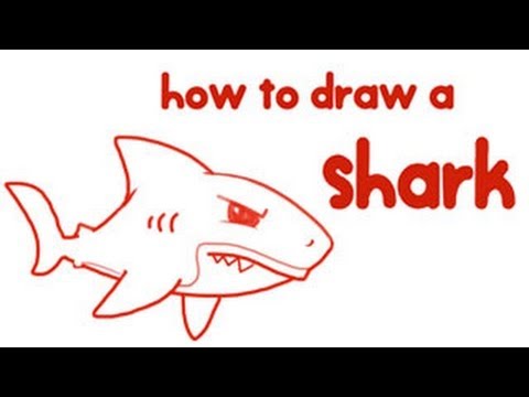 480x360 How To Draw A Shark Step By Step Drawing For Kids Educational