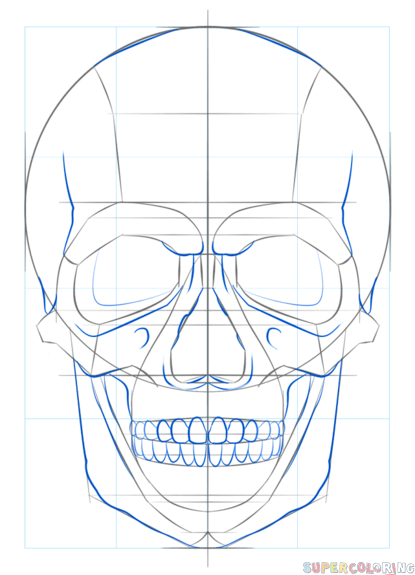 415x575 How To Draw A Human Skull Step By Step Drawing Tutorials