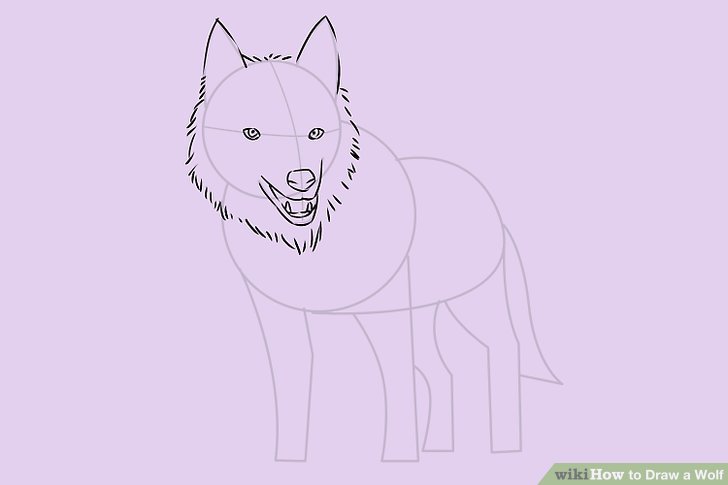 728x485 4 Ways To Draw A Wolf